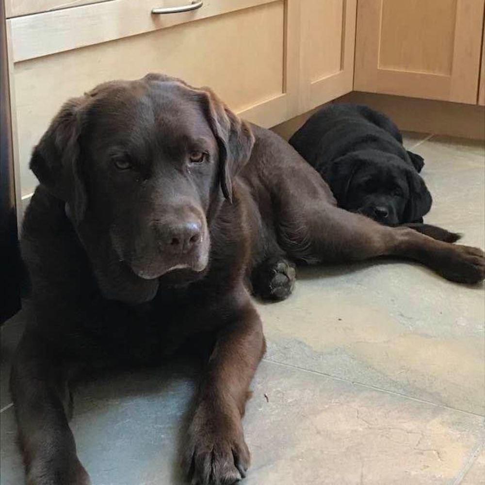 Meet your Posher, Lisa